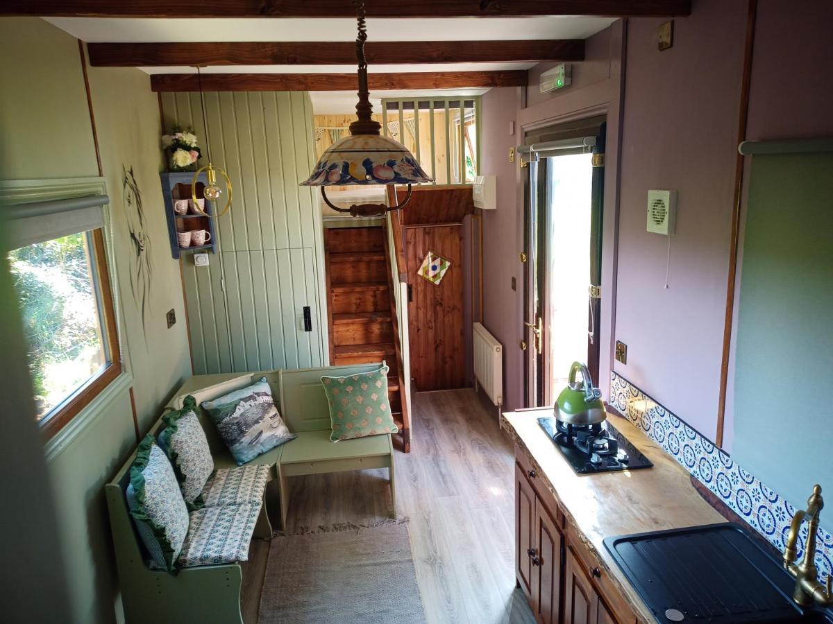 Glasson Glamping Farm Athlone Buitenkant foto